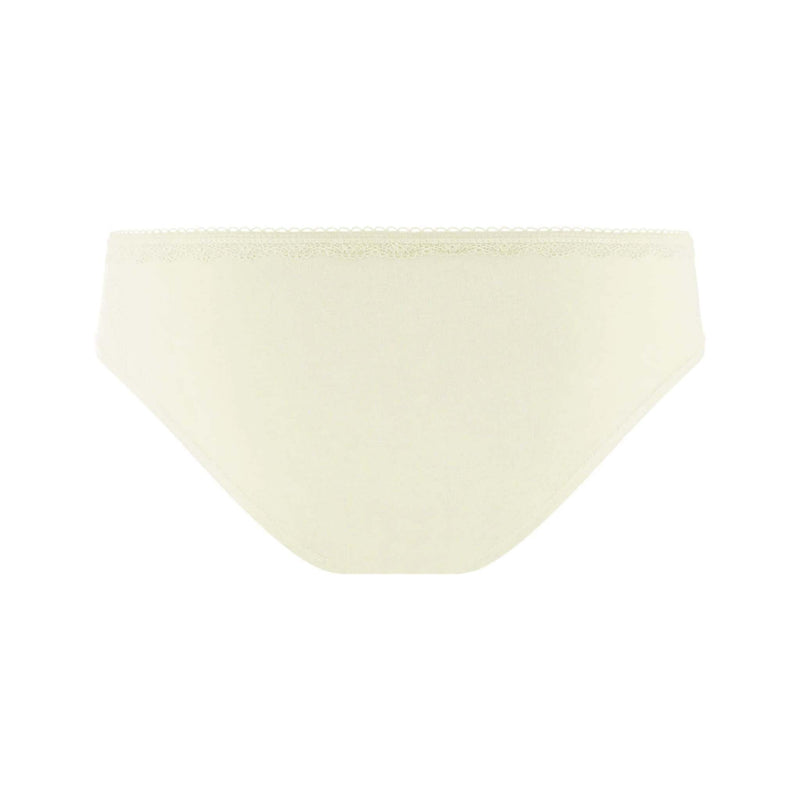 Standard Buttons Underwear Underwear - The Shapes United