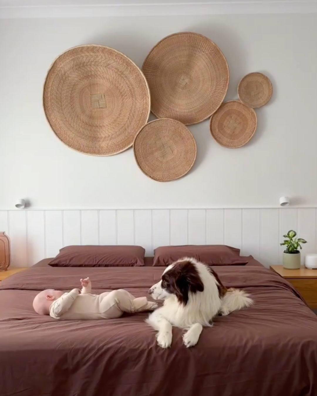 Dog and baby on a bed with decorative woven baskets on the wall