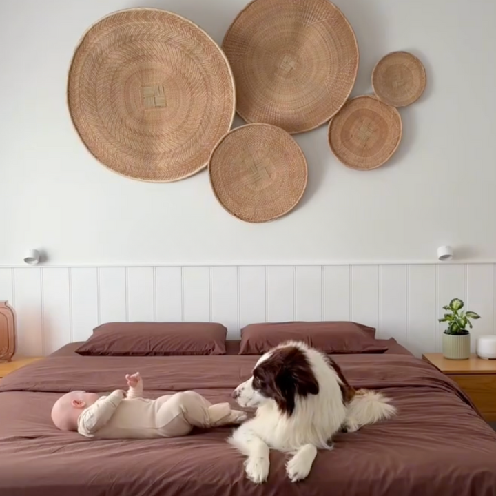 Dog and baby on a bed with decorative woven baskets on the wall