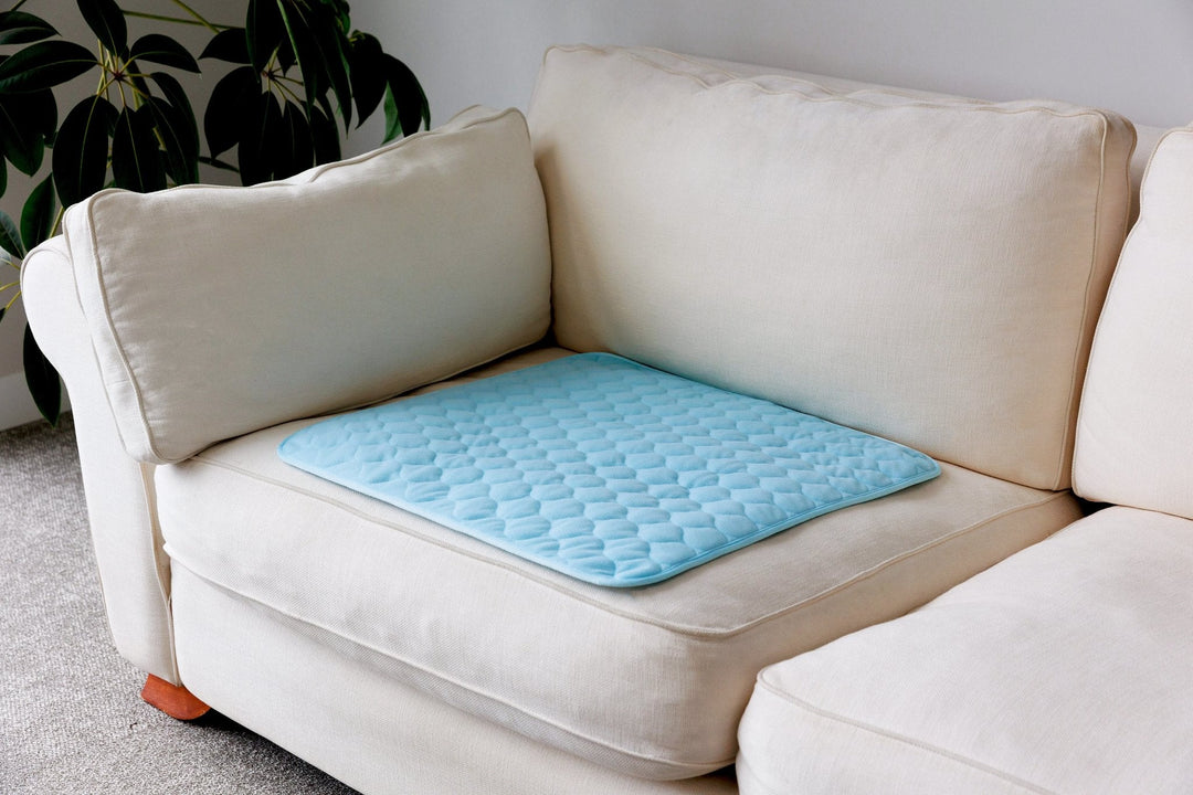 Waterproof Chair Pad - Pale Blue