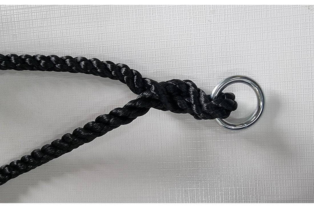 Round black and green Nest Swing with ropes, designed for sensory play by Special Needs Play Equipment.