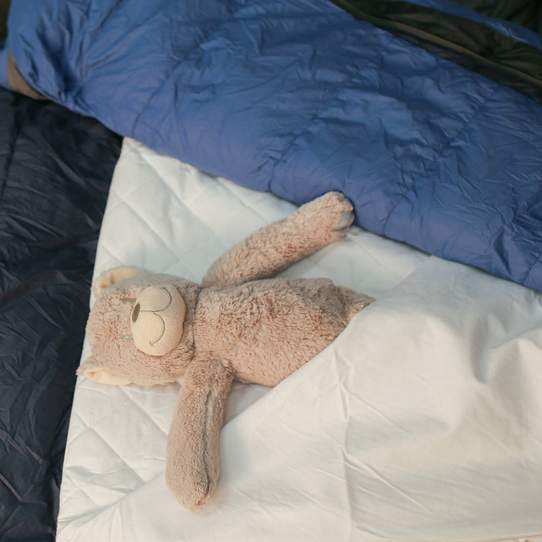 Cotton Brolly Sheets waterproof sleeping bag liner for kids, Manchester brand, shown in web4.jpg, designed for comfort and protection.